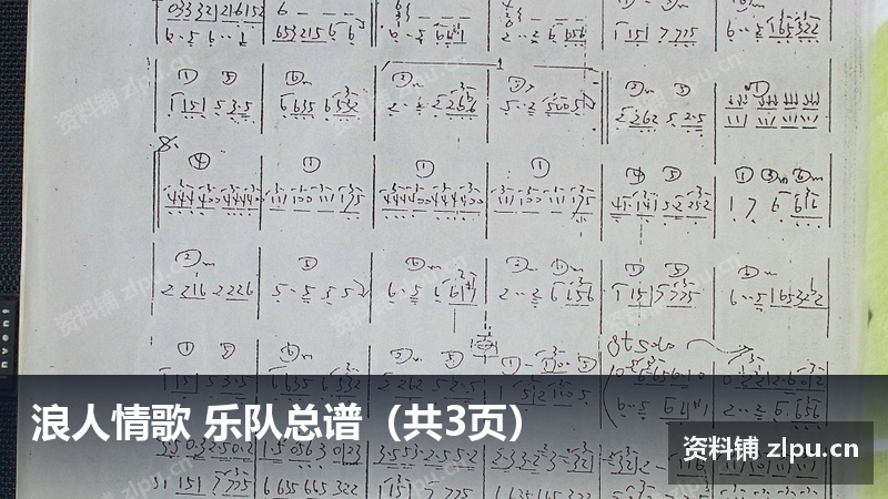 浪人情歌 乐队总谱（共3页）-资料铺