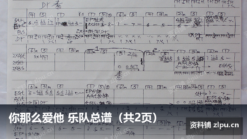 你那么爱他 乐队总谱（共2页）-资料铺