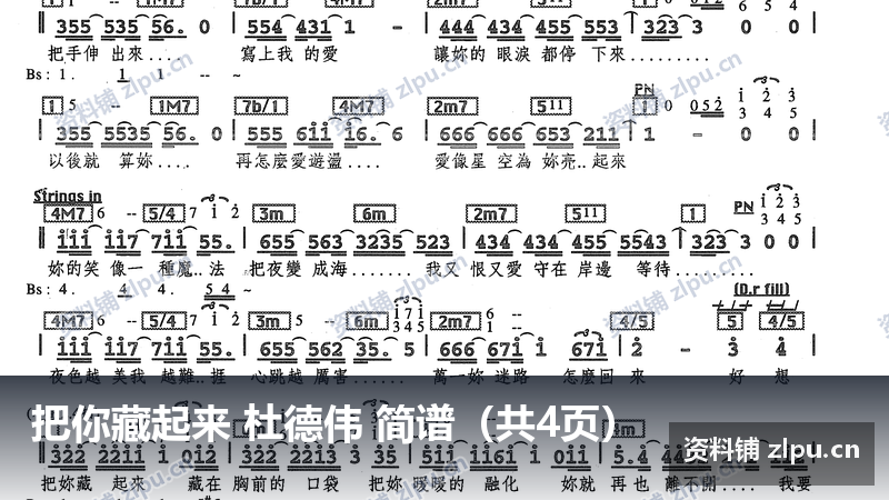 把你藏起来 杜德伟 简谱（共4页）-资料铺