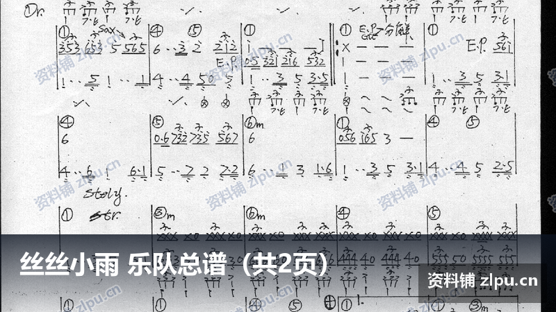 丝丝小雨 乐队总谱（共2页）-资料铺