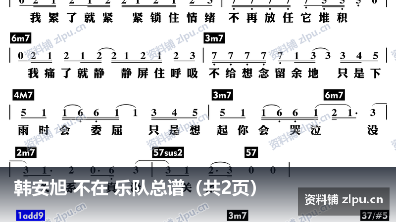 韩安旭 不在 乐队总谱（共2页）-资料铺