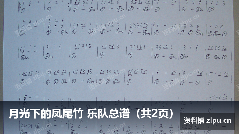 月光下的凤尾竹 乐队总谱（共2页）-资料铺
