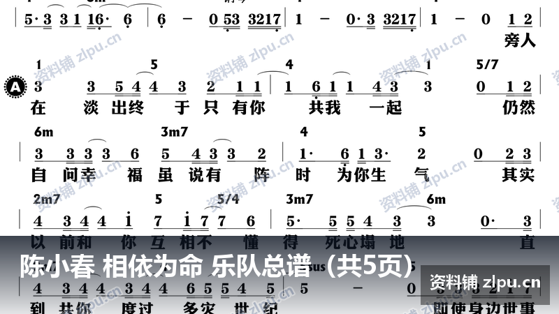 陈小春 相依为命 乐队总谱（共5页）-资料铺