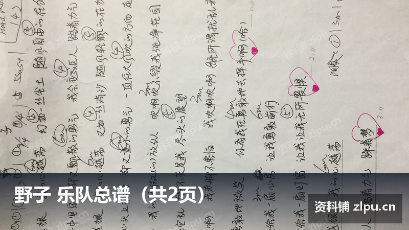 野子 乐队总谱（共2页）-资料铺
