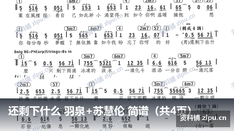 还剩下什么 羽泉+苏慧伦 简谱（共4页）-资料铺