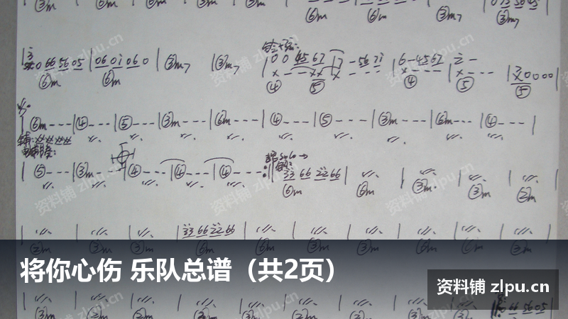 将你心伤 乐队总谱（共2页）-资料铺