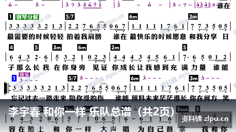 李宇春 和你一样 乐队总谱（共2页）-资料铺
