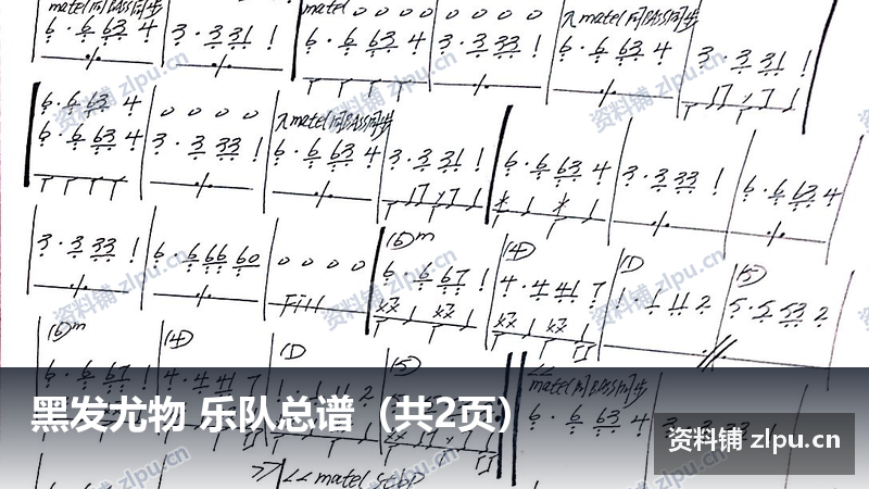 黑发尤物 乐队总谱（共2页）-资料铺