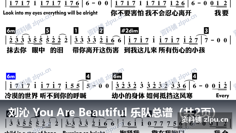 刘沁 You Are Beautiful 乐队总谱（共2页）-资料铺