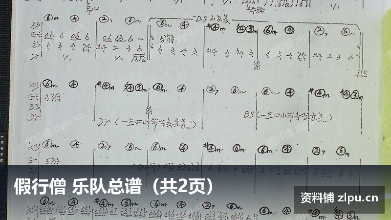 假行僧 乐队总谱（共2页）-资料铺