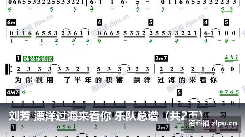 刘芳 漂洋过海来看你 乐队总谱（共2页）-资料铺