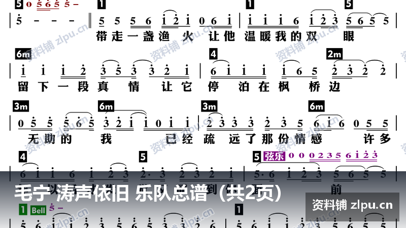 毛宁 涛声依旧 乐队总谱(共2页)-资料铺
