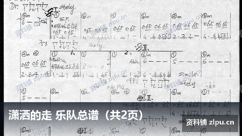 潇洒的走 乐队总谱（共2页）-资料铺