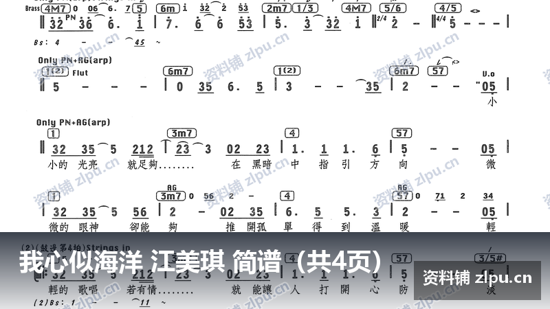 我心似海洋 江美琪 简谱(共4页)-资料铺