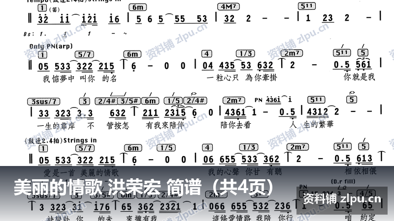 美丽的情歌 洪荣宏 简谱（共4页）-资料铺