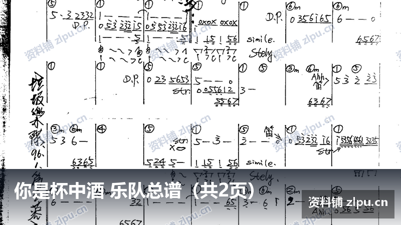 你是杯中酒 乐队总谱（共2页）-资料铺
