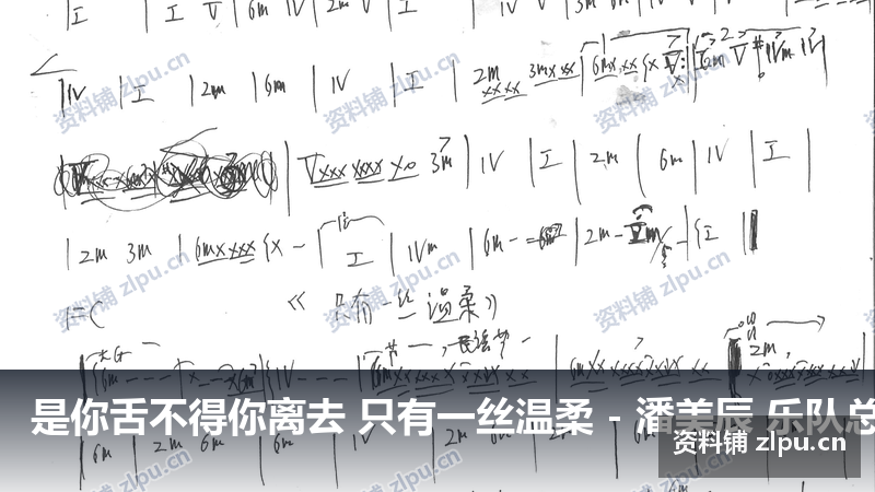 是你舌不得你离去 只有一丝温柔 - 潘美辰 乐队总谱（共2页）-资料铺