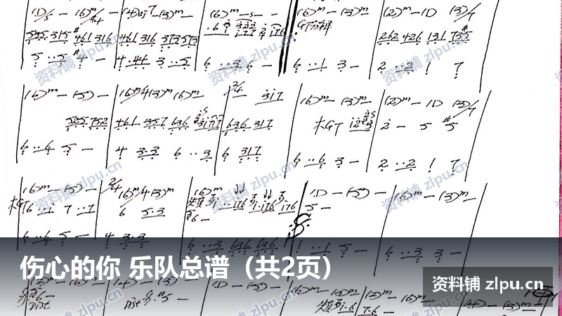 伤心的你 乐队总谱（共2页）-资料铺
