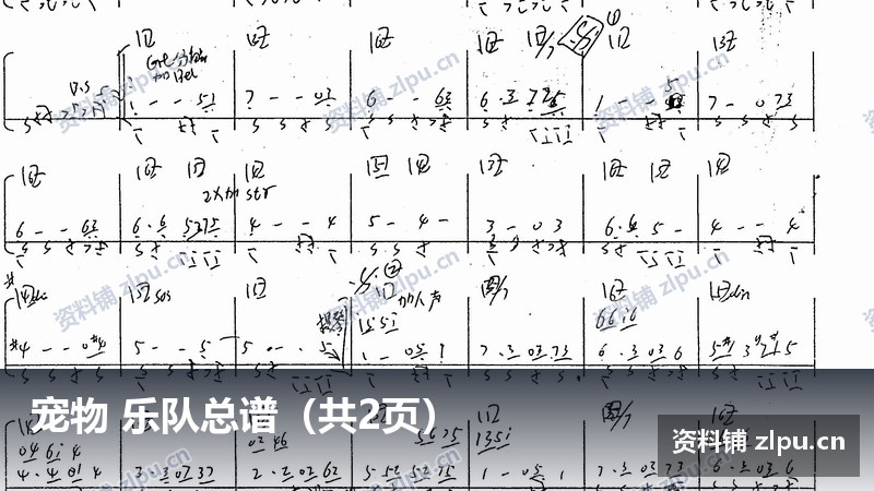 宠物 乐队总谱（共2页）-资料铺