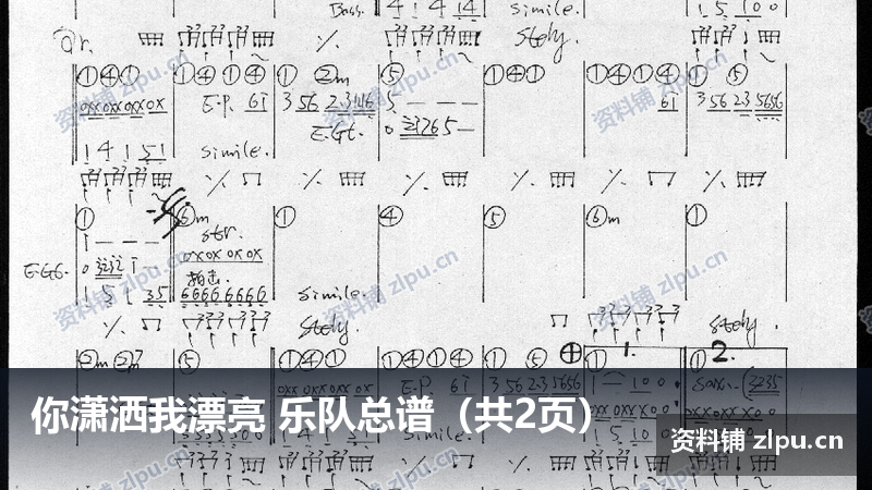 你潇洒我漂亮 乐队总谱（共2页）-资料铺
