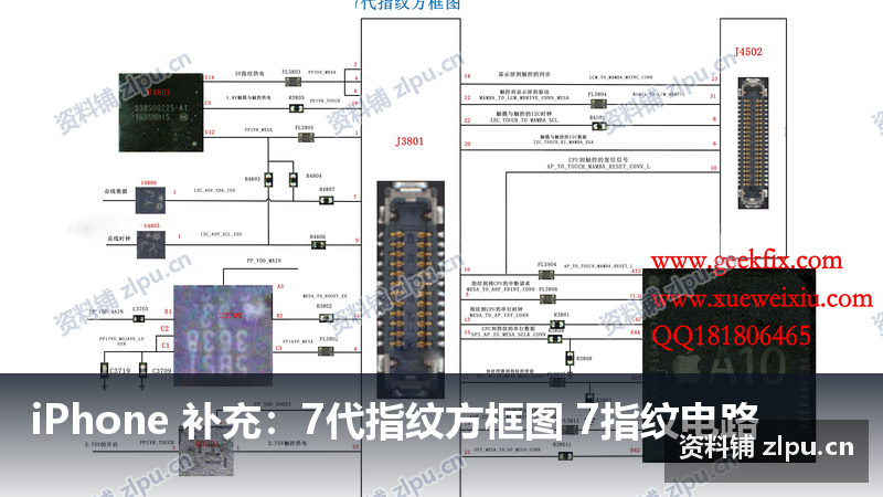 iPhone 补充:7代指纹方框图 7指纹电路插图 iPhone 补充:7代指纹方框图 7指纹电路