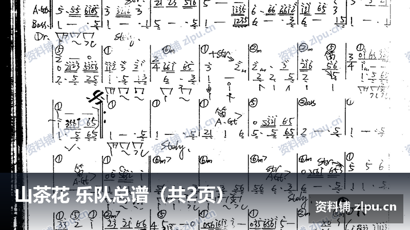 山茶花 乐队总谱（共2页）-资料铺