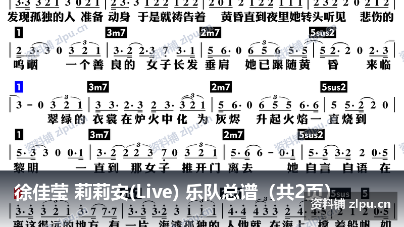 徐佳莹 莉莉安(Live) 乐队总谱（共2页）-资料铺