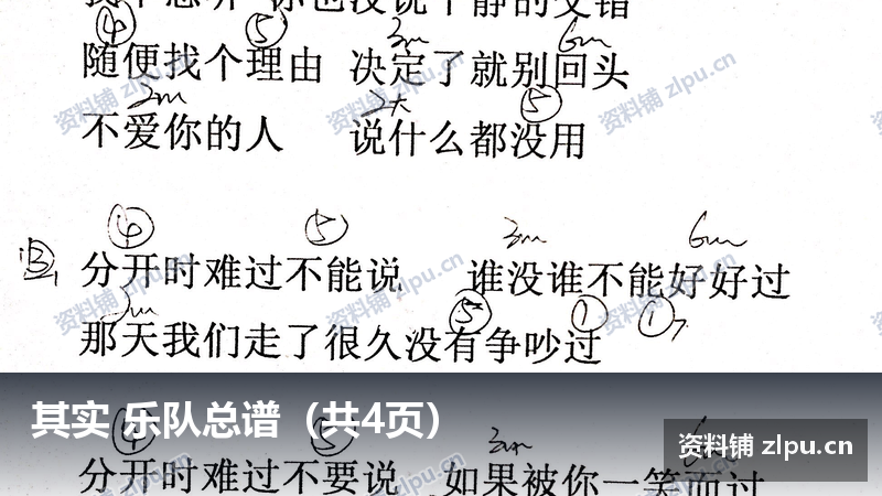 其实 乐队总谱（共4页）-资料铺