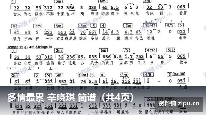 多情最累 辛晓琪 简谱（共4页）-资料铺