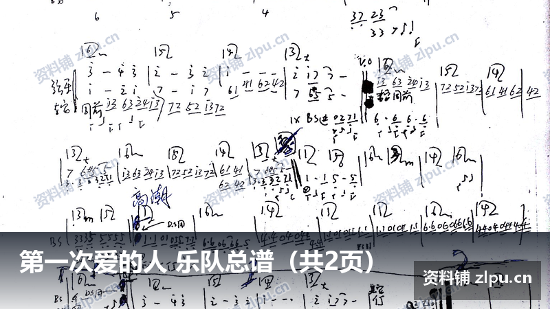 第一次爱的人 乐队总谱（共2页）-资料铺