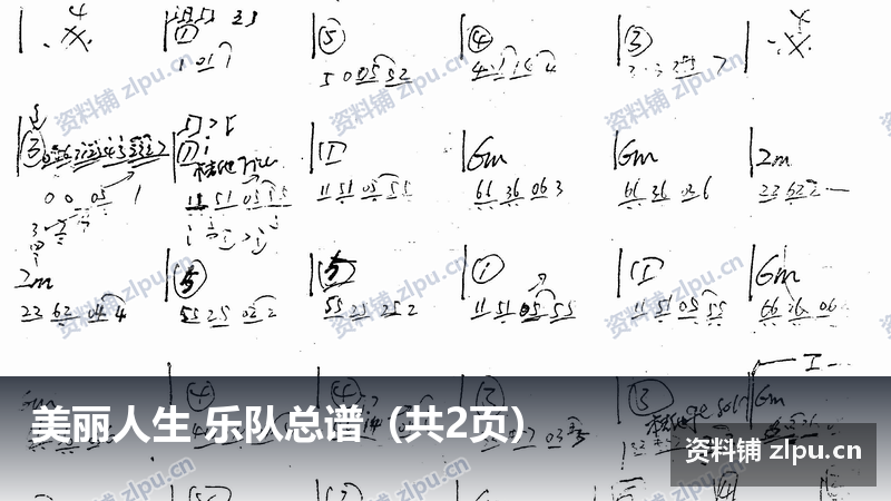 美丽人生 乐队总谱（共2页）-资料铺