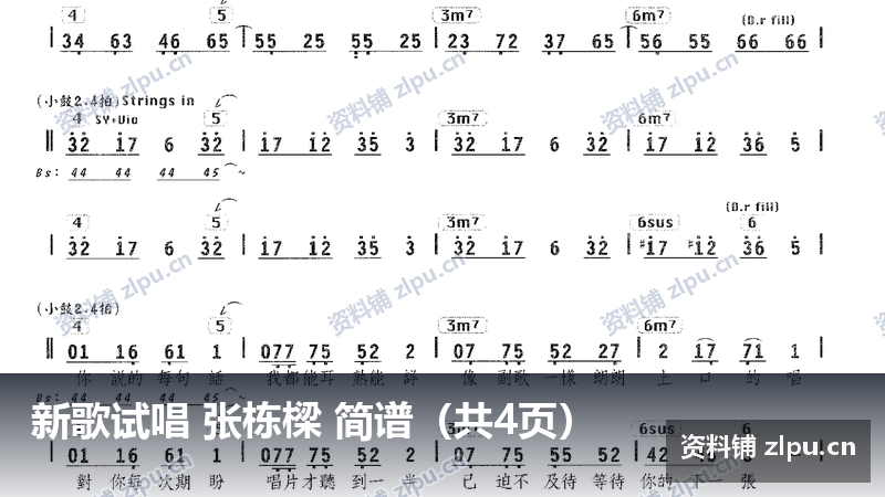 新歌试唱 张栋樑 简谱（共4页）-资料铺